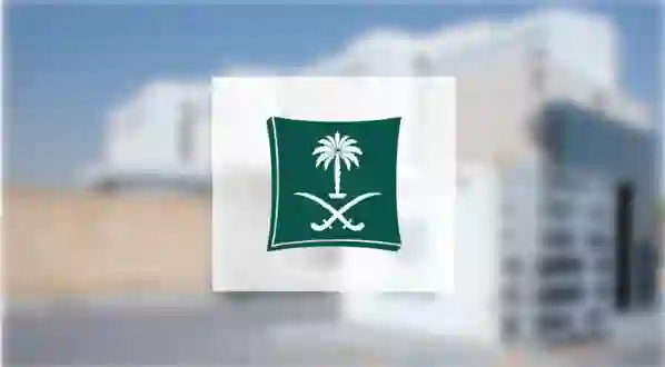 هذا ما يجب أن تعرفه عن المرحلة الثانية من نظام الاسترداد في السعودية