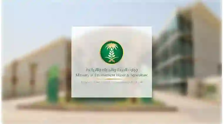 السعودية تبدأ تطبيق قرار يغير اشتراطات بيع الخضار والفواكه في محلات الخضار والسوبر ماركت