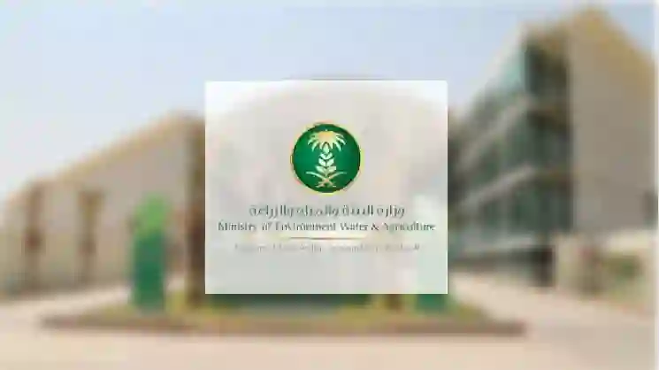 السعودية تستعد لاطلاق مشروع غير مسبوق ينهي مشاكل السيول في جدة أثناء موسم الأمطار 
